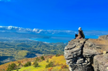 农夫山泉矿泉水(农夫山泉矿泉水：给您健康的选择)